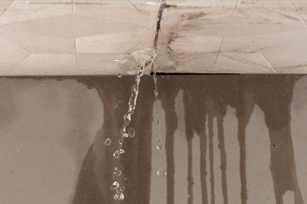 Professional Commercial Water Damage Restoration technician working in Pilot Point, TX